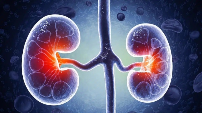 i-diatrofi-poy-sozei-ta-nefra-ti-na-kopsete-amesos-kai-ti-na-trote-kathe-mera-452064