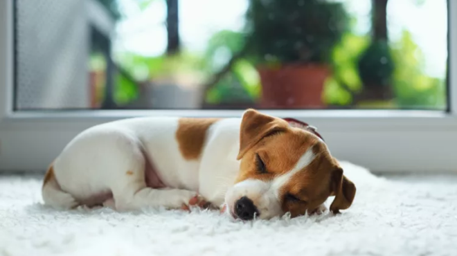 friki-stin-karditsa-kakopoiisan-thilyko-koytavi-453721