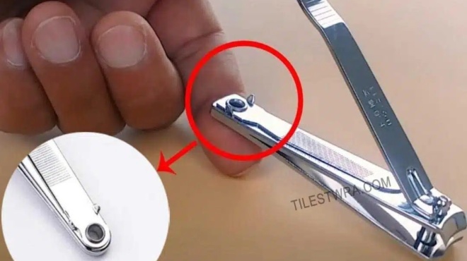 oi-anthropoi-molis-tora-mathainoyn-se-ti-chrisimeyei-pragmatika-i-mikri-trypa-stoys-nychokoptes-453690