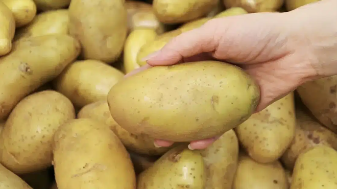 synagermos-gia-thanatiforo-fytofarmako-se-pasignosti-poikilia-patatas-457243