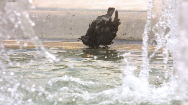 ektakto-matheytike-gia-tin-mikroyla-poy-epese-sto-syntrivani-vrikan-ston-egkefalo-tis-453853