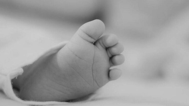 nekro-vrefos-se-ptisi-amp-8211-oi-protes-plirofories-456639