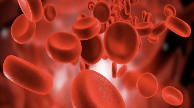 10-simantikes-plirofories-poy-oloi-prepei-na-gnorizoyme-gia-tin-omada-aimatos-mas-452054