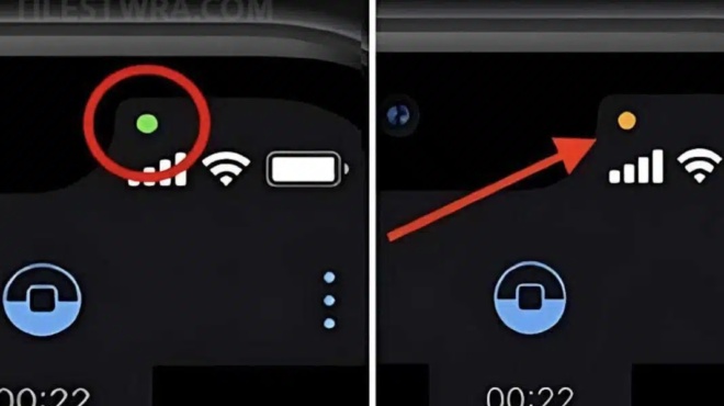 9-stoys-10-den-xeroyn-poia-einai-i-diafora-anamesa-se-aytes-tis-dyo-koykides-sta-kinita-457300