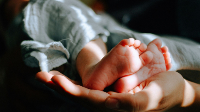 sok-nekro-vrefos-stin-kypro-458692