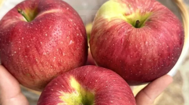 oi-giatroi-apokalyptoyn-oti-i-katanalosi-milon-prokalei-458067