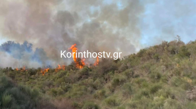 fotia-se-dasiki-ektasi-sta-sofiana-korinthias-459800