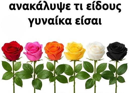 dialexe-ena-triantafyllo-kai-anakalypse-ti-eidoys-gynaika-eisai-460115