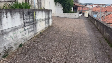 veroia-omologise-ton-agrio-xylodarmo-tis-24chronis-o-nearos-poy-prosichthi-paramenei-se-krisimi-katastasi-to-thyma-463161