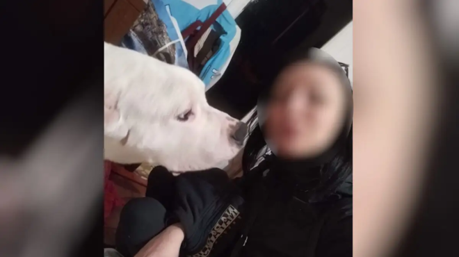 matheytike-ti-sokaristiko-fonaze-o-38chronos-stin-31chroni-egkyo-syntrofo-toy-poy-vrethike-nekri-ston-kolono-458239