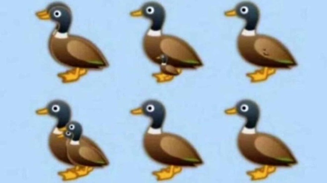 vreite-oles-tis-papies-tis-eikonas-to-test-paratiritikotitas-poy-elachistoi-apantoun-sosta-459025