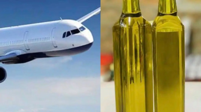 pagose-o-toyristas-stin-kriti-toy-apagoreysan-na-parei-elaiolado-sto-aeroplano-amp-8211-i-lysi-poy-edose-astynomikos-tin-teleytaia-stigmi-min-anisycheite-tha-sas-voithiso-498552